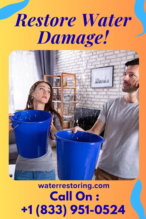 water restoration Imperial Disaster Cleanup Co Bismarck