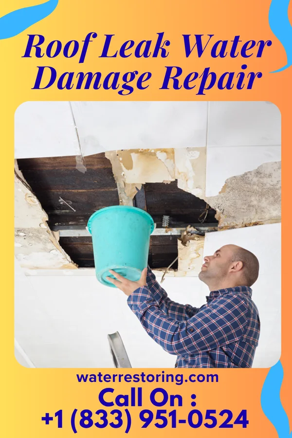 Roof Leak Water Damage Repair in Bismarck, IL