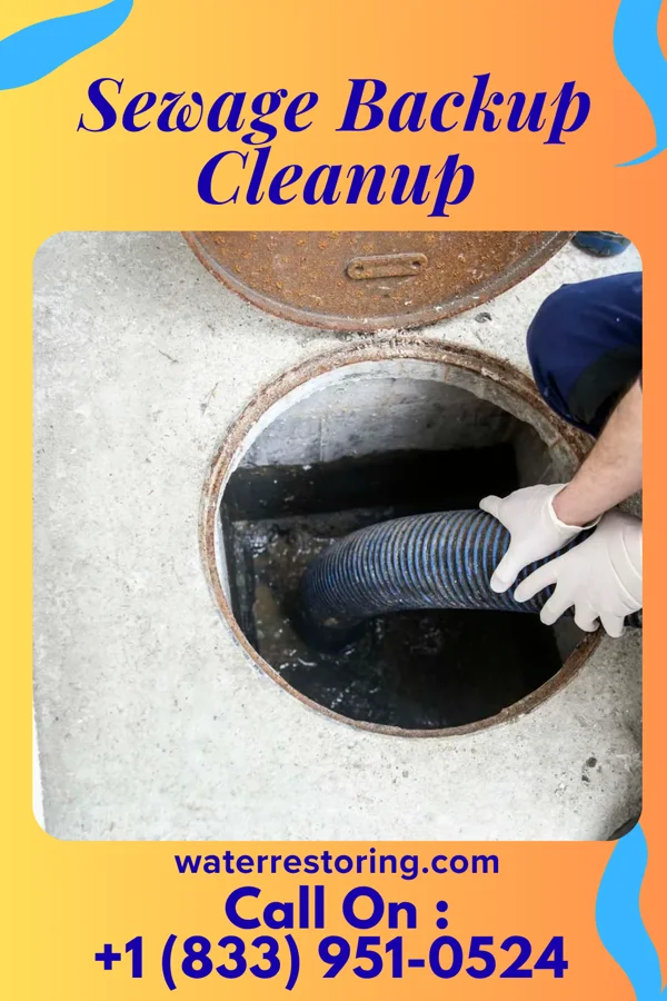 Sewage Backup Cleanup in Bismarck, IL